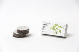 Tregren Mint, 2 seed pods, SEEDPOD06