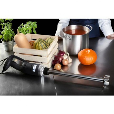 Mocny mikser blender robot ręczny dł. ramienia 300mm 500W 230V Royal Catering