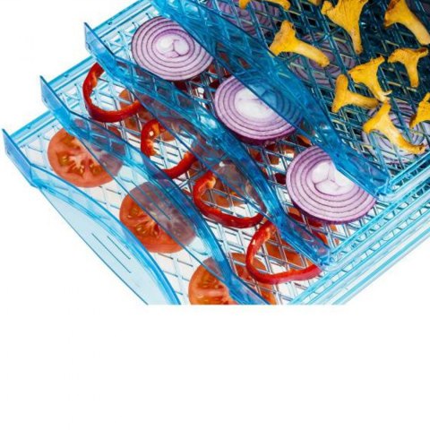 Profesjonalna przemysłowa suszarka do żywności ziół owoców grzybów 10 rusztów 630W 230V