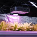 Lampa do uprawy wzrostu roślin Hillvert LED 1000W biała