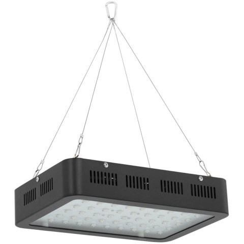 Lampa do uprawy wzrostu roślin Hillvert LED 1200W biała