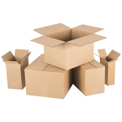 Pudełko kartonowe FEFCO 0201 5-warstwowy 325x210x285mm 2 x UN 5L 10szt