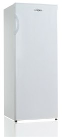 Goddess | GODFSD0142TW8AF | Freezer | Energy efficiency class F | Free standing | Upright | Height 142 cm | Total net capacity 1