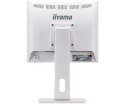 Iiyama LED monitor PROLITE B1780SD-W1 17 ", TN LED, 1280 x 1024 pixels, 5:4, 5 ms, 250 cd/m², White, Matte