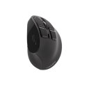 Natec | Mysz pionowa | Euphonie | Bezprzewodowa | Odbiornik Bluetooth/USB Nano | Czarny