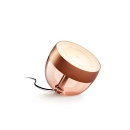 Przenośna lampa Philips Hue Iris, miedziana edycja specjalna Philips Hue | Przenośna lampa Hue Iris, miedziana edycja specjalna 