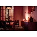 Przenośna lampa Philips Hue Iris, miedziana edycja specjalna Philips Hue | Przenośna lampa Hue Iris, miedziana edycja specjalna 