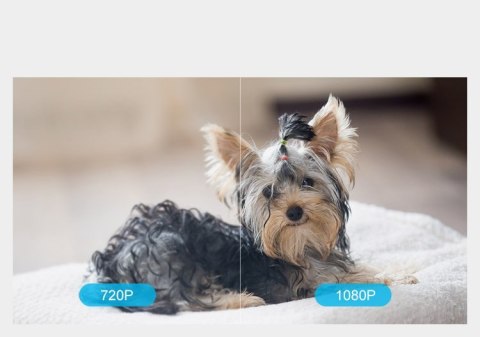 Kamera IP WiFi bezprzewodowa obrotowa internetowa monitoring Full HD 1080P biały GK-200MP2-B