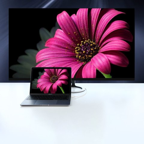 Przejściówka kabel jednokierunkowy z USB-C do Display Port 4K 1.5m czarny