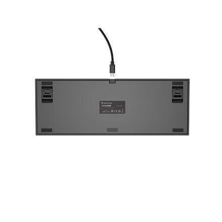 Genesis | Black | Mechanical Gaming Keyboard | THOR 404 TKL RGB | Mechanical Gaming Keyboard | Wired | US | USB Type-A | 1005 g 