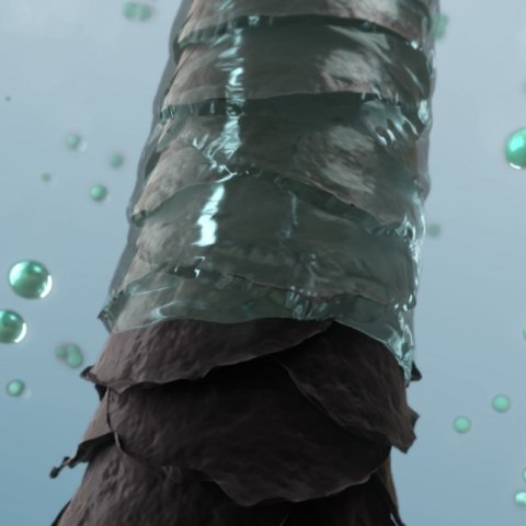 Suszarka do włosów Panasonic EH-NE85-K825, Czarny | Panasonic