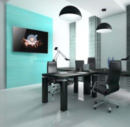 EDBAK Wall mount | Lateral adjustment of the screen once mounted on the wall plate | 50-86 