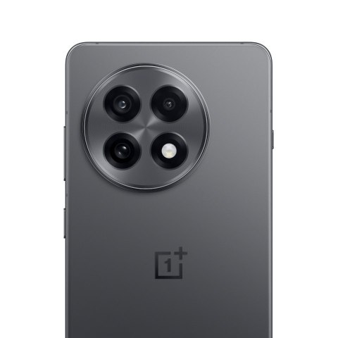 OnePlus 13R | Nebula Noir | 6.78 " | LTPO4 AMOLED | 1264 x 2780 pixels | Snapdragon 8 Gen 3 (4 nm) | Internal RAM 12 GB | 256 GB