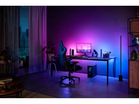 Philips Hue Gradient PC Lightstrip 32-34"|19 W