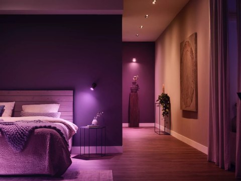 Philips Hue WCA 12V MR16 | GU5.3 | 6.3 W | White and colour light