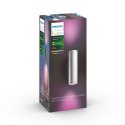 Philips Hue WCA Appear Outdoor Wall Lantern, Inox | Philips Hue