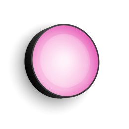 Philips Hue WCA Daylo Outdoor Wall Lantern, Black | Philips Hue