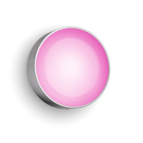 Philips Hue WCA Daylo Outdoor Wall Lantern, Inox | Philips Hue