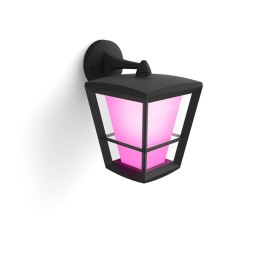 Philips Hue WCA Econic Outdoor Wall Lantern | Philips Hue