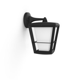 Philips Hue WCA Econic Outdoor Wall Lantern | Philips Hue