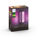 Philips Hue WCA Impress Outdoor Wall Lantern 24V | Philips Hue