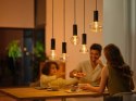 Philips Hue WCA Lightguide G95 E27 | Philips Hue