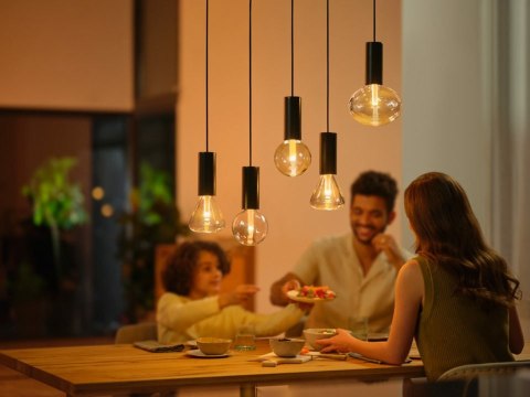 Philips Hue WCA Lightguide Triangle E27 | Philips Hue