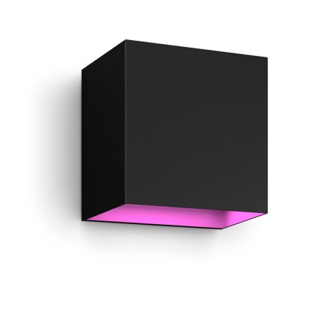 Philips Hue WCA Resonate Outdoor Downward Wall Lantern, Black | Philips Hue