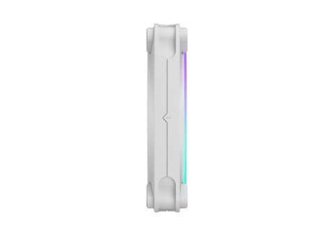 Fractal Design | Computer Fan | Momentum 12 RGB