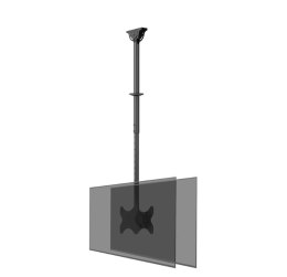 Neomounts CL35-340BL22 Monitor/TV mount ceiling 2 screens - 23-42