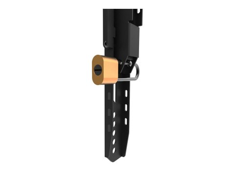 Neomounts LEVEL-750 WL30-750BL14 Fixed heavy duty wall mount - 32-75" screen - max 100 kg - VESA 100x100-400x400 - d 4,2 cm - le