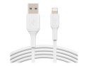 Belkin | Męski | 4-pinowy USB Typ A | Męski | Biały | Apple Lightning | 1 m