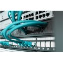 Digitus | Panel zarządzania szczotkami kablowymi 1U otwarty | DN-97661 | Czarny | Panel zarządzania szczotkami kablowymi jest mo