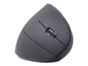 Gembird | Bezprzewodowa mysz optyczna 2,4 GHz | MUSW-ERGO-01 | Mysz optyczna | USB | Czarny