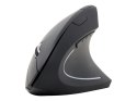 Gembird | Bezprzewodowa mysz optyczna 2,4 GHz | MUSW-ERGO-01 | Mysz optyczna | USB | Czarny