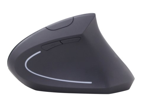 Gembird | Bezprzewodowa mysz optyczna 2,4 GHz | MUSW-ERGO-01 | Mysz optyczna | USB | Czarny