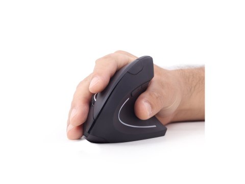 Gembird | Bezprzewodowa mysz optyczna 2,4 GHz | MUSW-ERGO-01 | Mysz optyczna | USB | Czarny