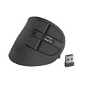 Natec | Mysz pionowa | Euphonie | Bezprzewodowa | Odbiornik Bluetooth/USB Nano | Czarny