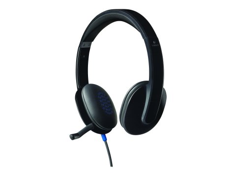 Logitech | Zestaw słuchawkowy | H540 | Nauszny USB Typ-A | Czarny