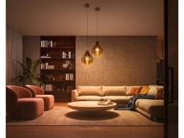 Philips Hue | WA Starter Kit 11W A60 E27 3szt, Bridge, Switch | E27 | 11 W | Ciepła do chłodnej bieli 2200-6500K + 16 milionów k