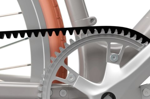 Sharp Hybrid E-Bike | 250 W | 21 " | 24 miesiące | Srebrny