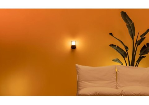 WiZ Smart WiFi Outdoor Wall Light Wizarding World