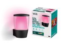 WiZ Smart WiFi Outdoor Wall Light Wizarding World