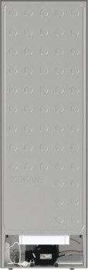 Gorenje | Chłodziarka | R619EES5 | Klasa efektywności energetycznej E | Spiżarnia | Wysokość 185 cm | 38 dB | Stal nierdzewna