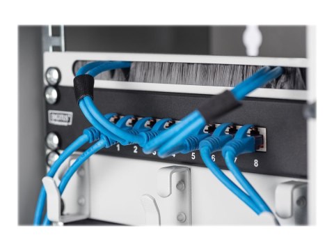 Obudowa naścienna Digitus 254 mm (10") | DN-10-09U | Szary | 31,2 x 30 cm