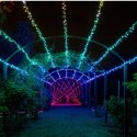 Twinkly|Strings Smart LED Lights 600 RGB (Multicolor), 48m, czarny przewód|RGB - 16M+ kolorów