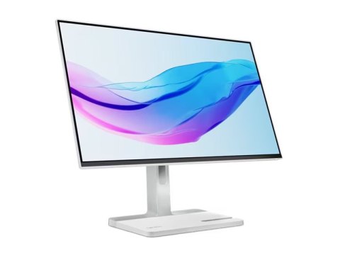 Lenovo L24m-4A | 23,8 " | IPS | FHD | 16:9 | 100 Hz | 1 ms | 1920 x 1080 pikseli | 250 cd/m² | Porty HDMI w ilości 1 | Cloud Gre