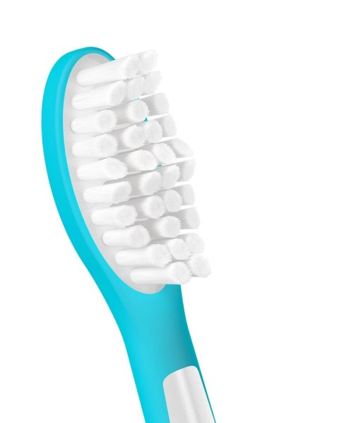 Philips Wymienne główki szczoteczki | HX6042/90 Sonicare | Główki | Dla dzieci | Liczba główek szczoteczki w zestawie 2 | Biały/