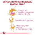 ROYAL CANIN FBN Maine Coon Kitten - sucha karma dla kociąt - 4kg