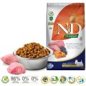 FARMINA N&D Pumpkin Lamb & Blueberry Adult Mini - sucha karma dla psa - 7 kg